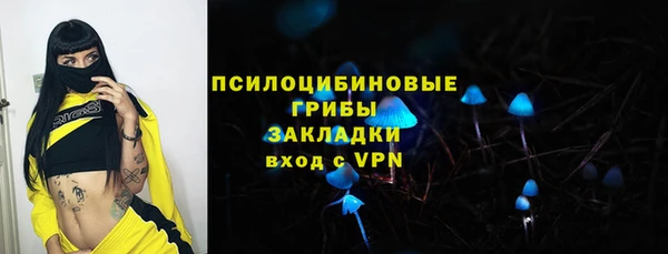 а пвп мука Горняк