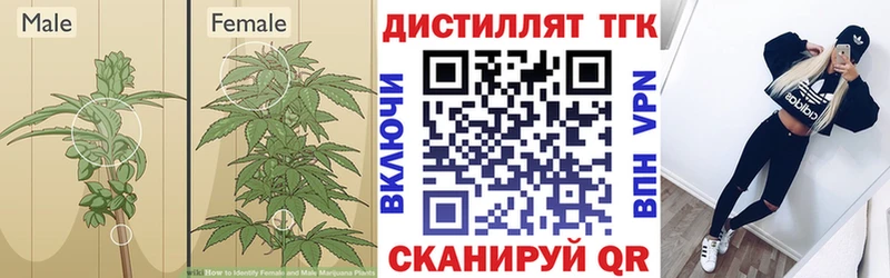 Дистиллят ТГК вейп  цены   Ростов-на-Дону 